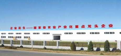 遼寧正業(yè)花生產業(yè)：共抗疫情，龍頭企業(yè)顯擔當！