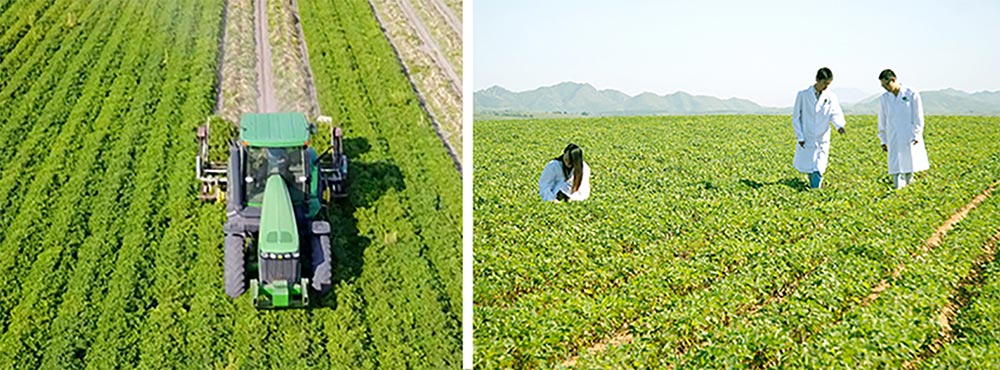 遼寧正業(yè)花生產業(yè)：共抗疫情，龍頭企業(yè)顯擔當！(圖3)